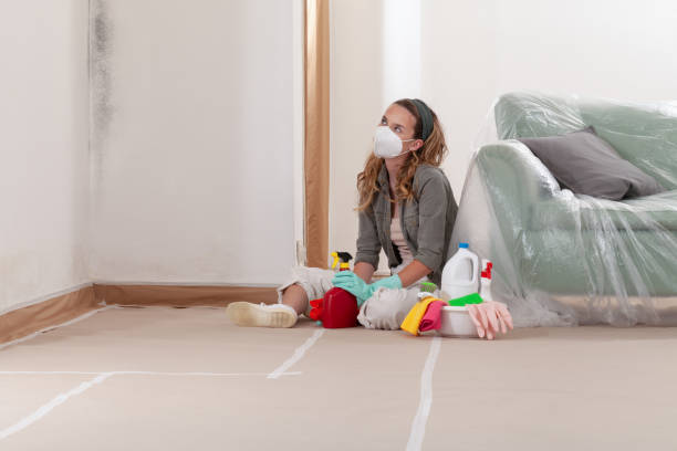 Reliable Mold Testing contractor in Coinjock, NC by WQB Mold Removal